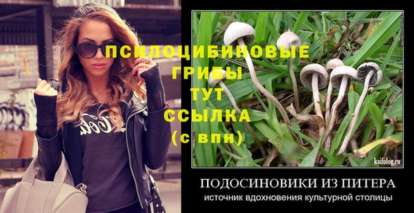 гашик Волосово