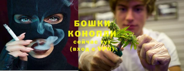 гашик Волосово