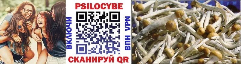 Псилоцибиновые грибы мухоморы Барнаул